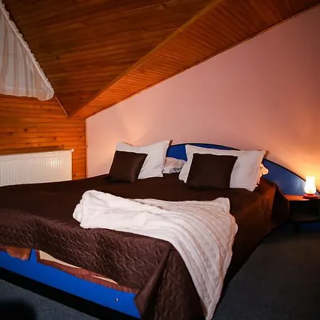 Silva Hotel 2*