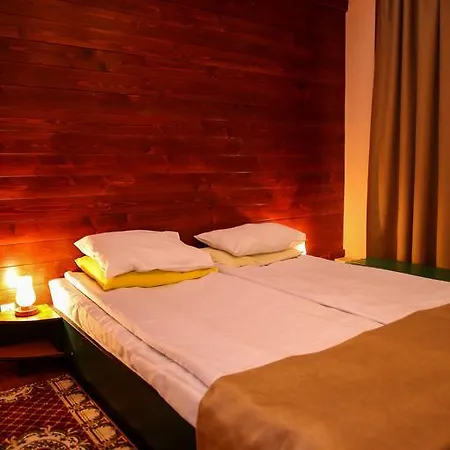 Silva Hotel Vatra Dornei