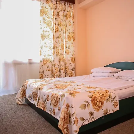 Silva Hotel 2*